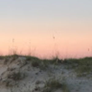 Meet your Posher, Michele